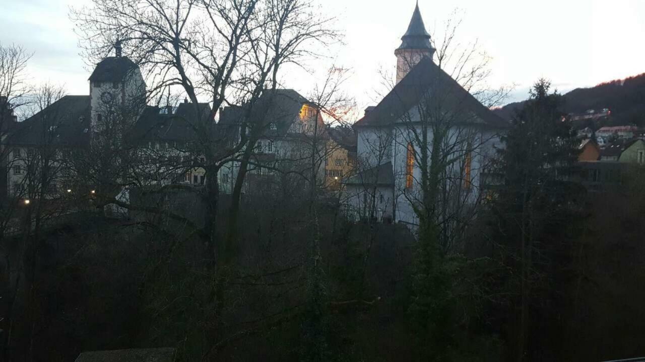 Waldshut-zentrum Apartment *