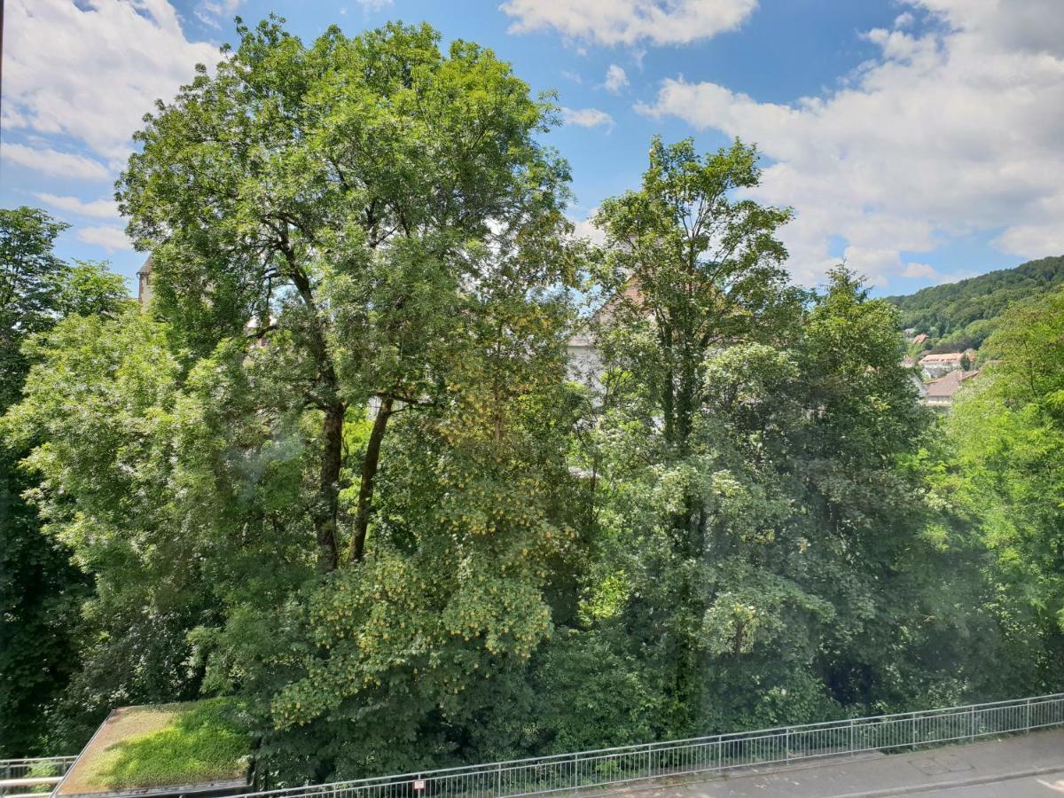Waldshut-zentrum Apartment